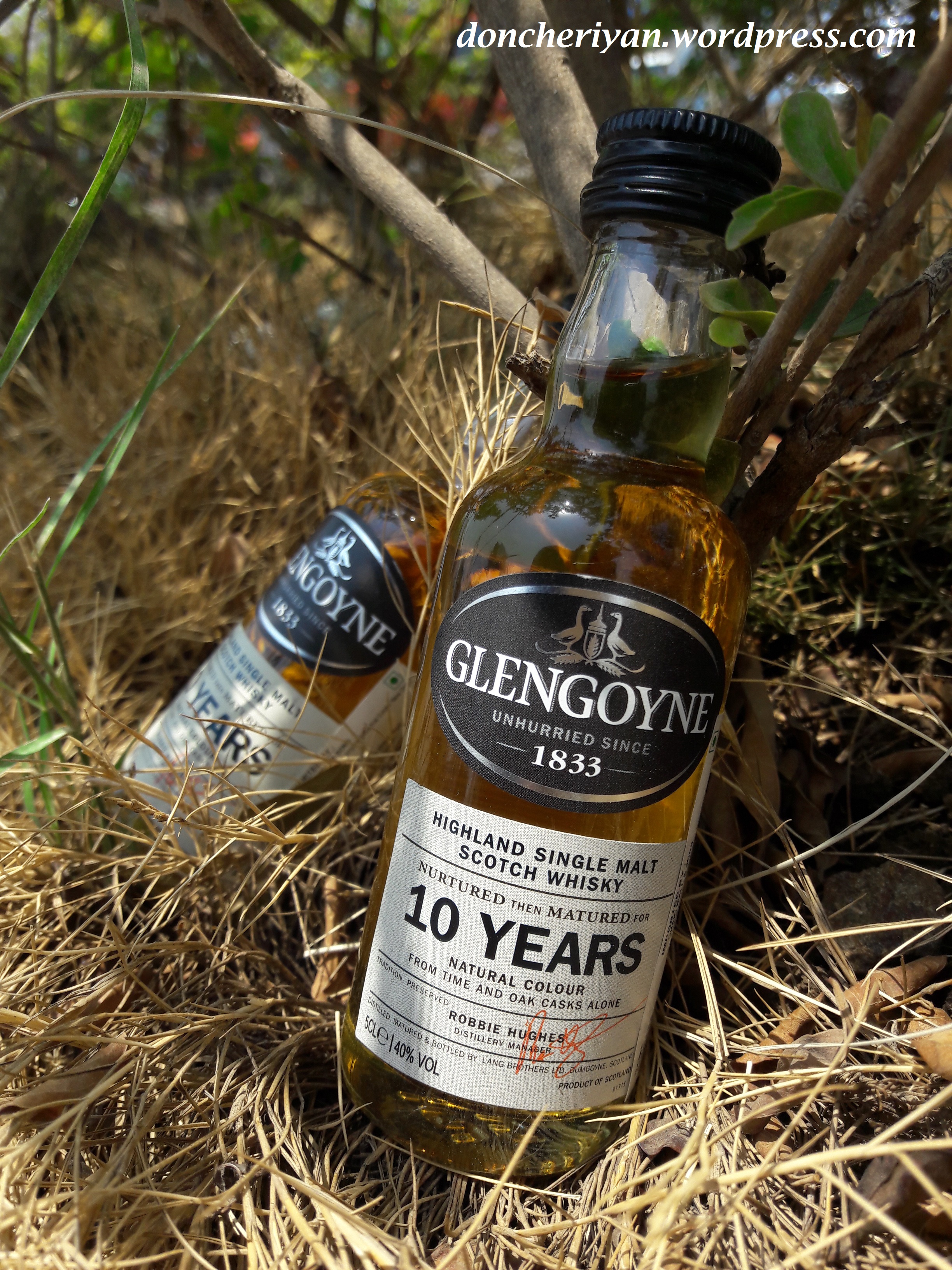 Review : Glengoyne 10 Years – Uisce Beatha | My Whisk'e'y
