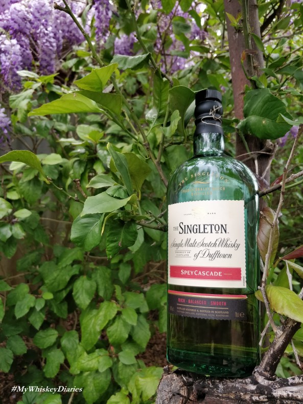 Review Singleton Spey Cascade