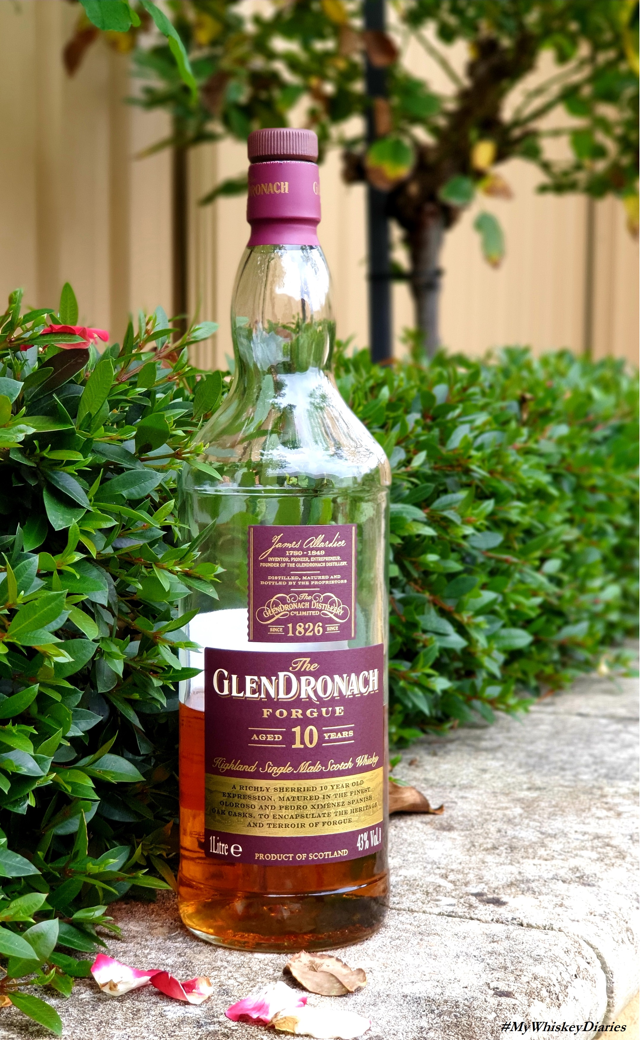Review : The Glendronach Forgue 10 Year Old – Uisce Beatha | My